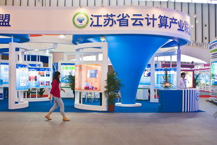 南京軟件產品和信息服務博覽會抓拍一組
