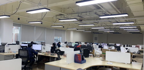成都高新區(qū) 支持小微企業(yè)突出一個(gè) 實(shí) 字